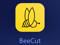 beecut-thumb-8422235