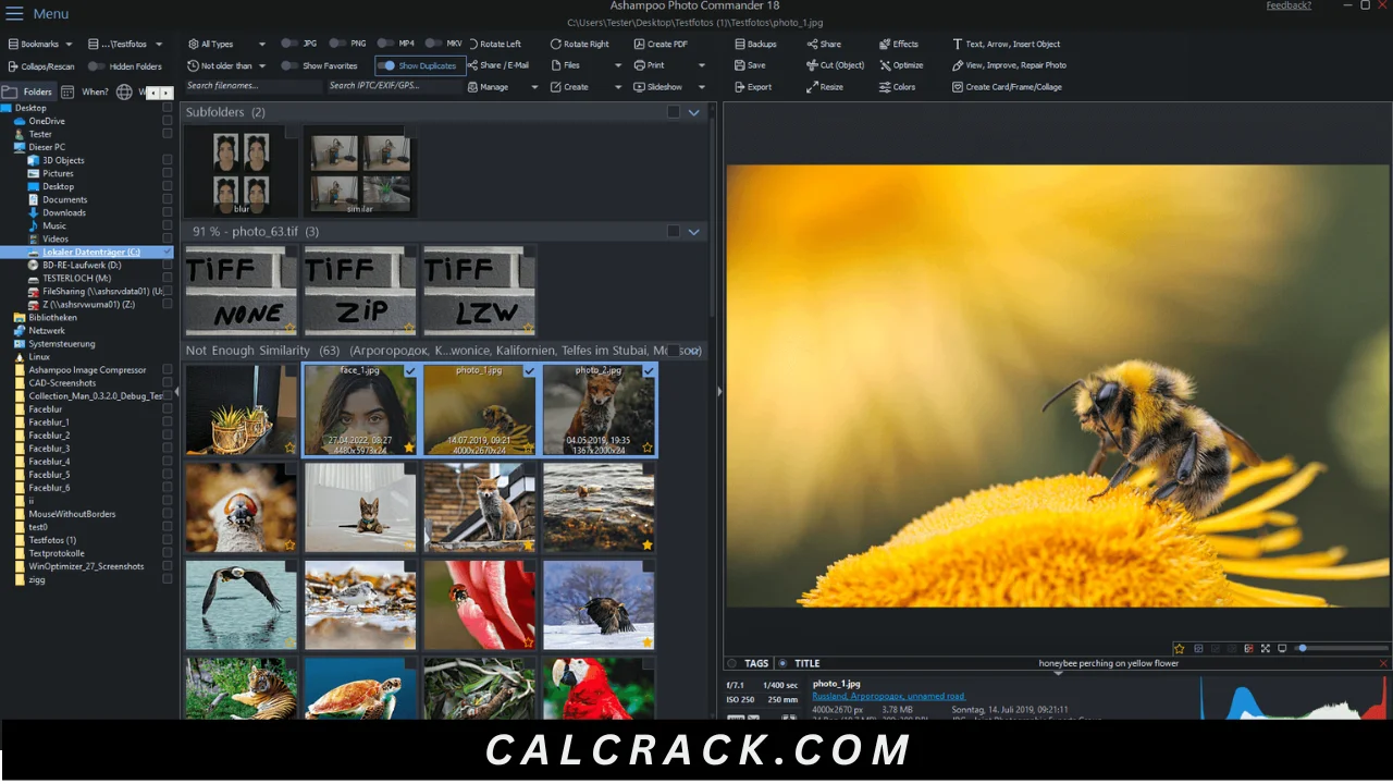 Ashampoo Photo Commander Free Download