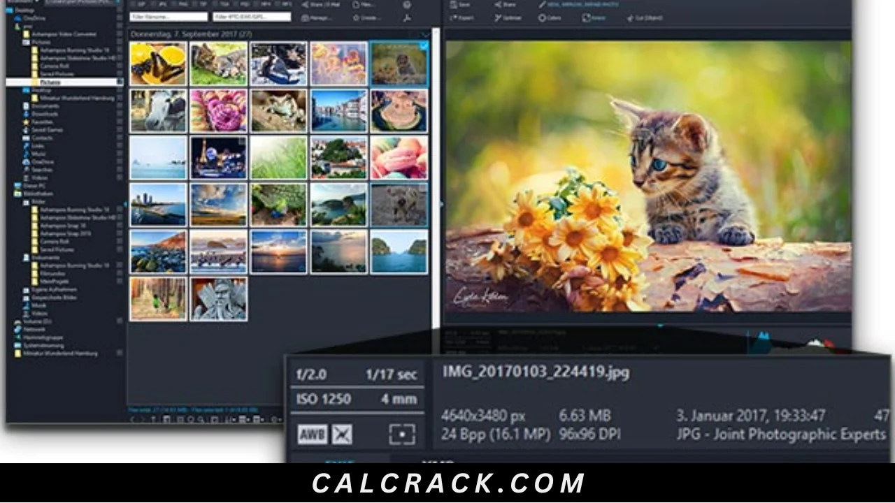 Ashampoo Photo Commander Full Download