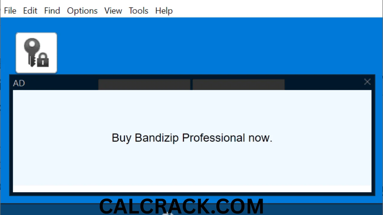Bandizip Professional full download