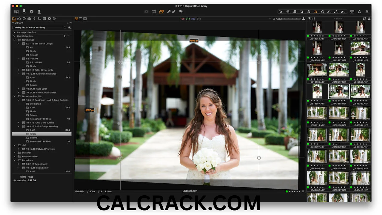 Capture One Pro Free Download