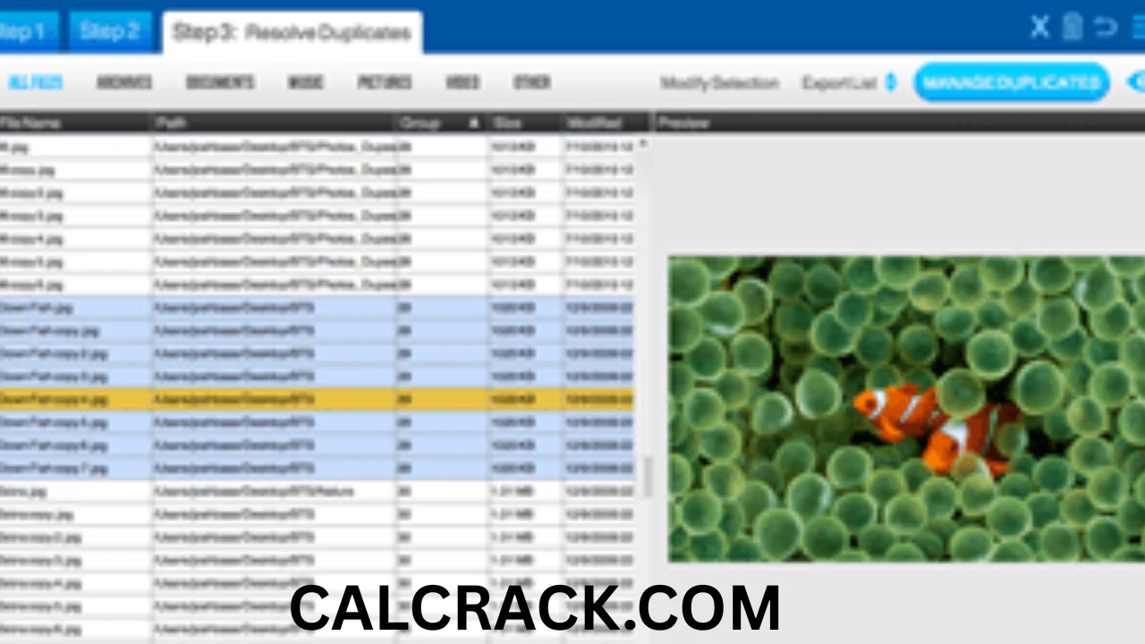Easy Duplicate Finder Free Download