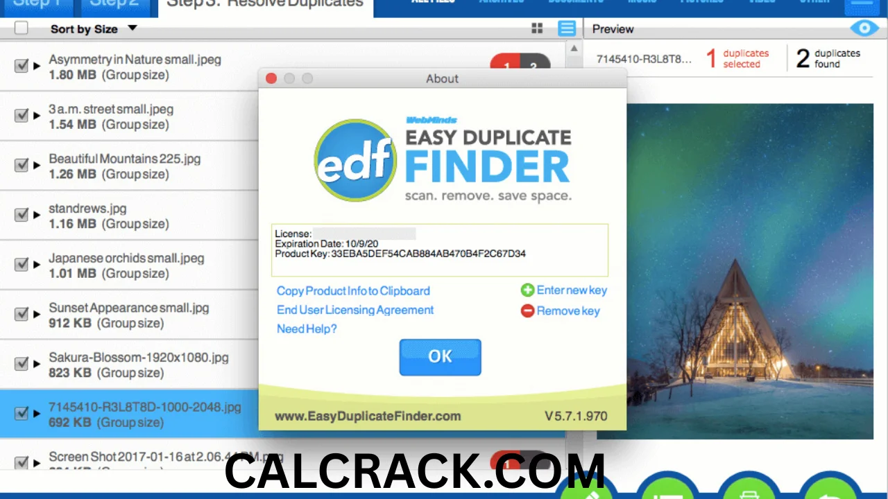 Easy Duplicate Finder full download
