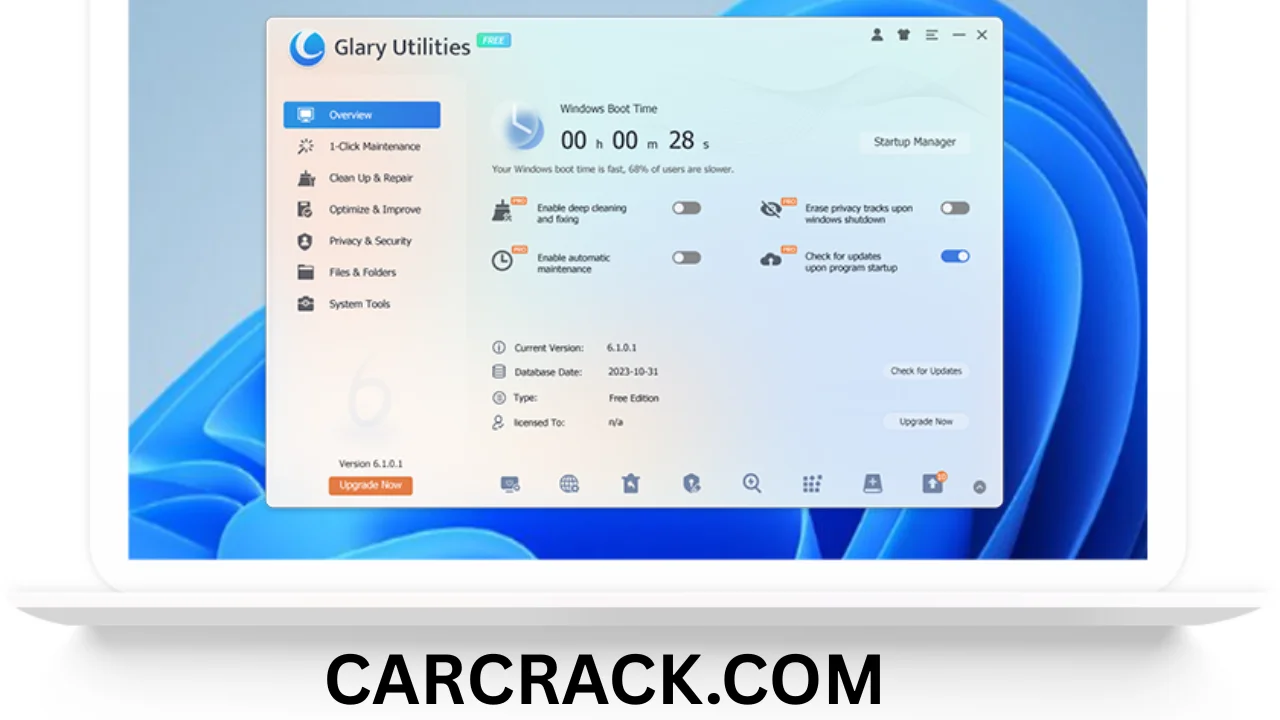 Glary Utilities Pro Full download