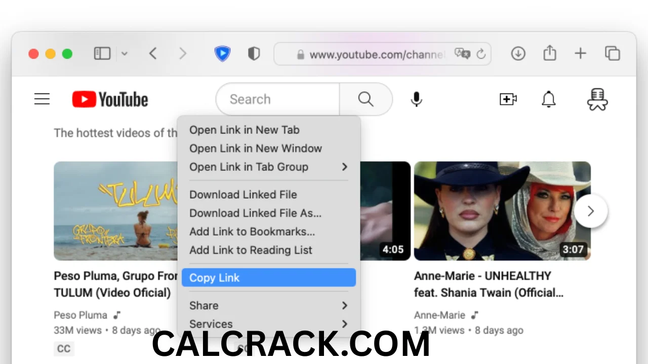 MediaHuman YouTube Downloader full download