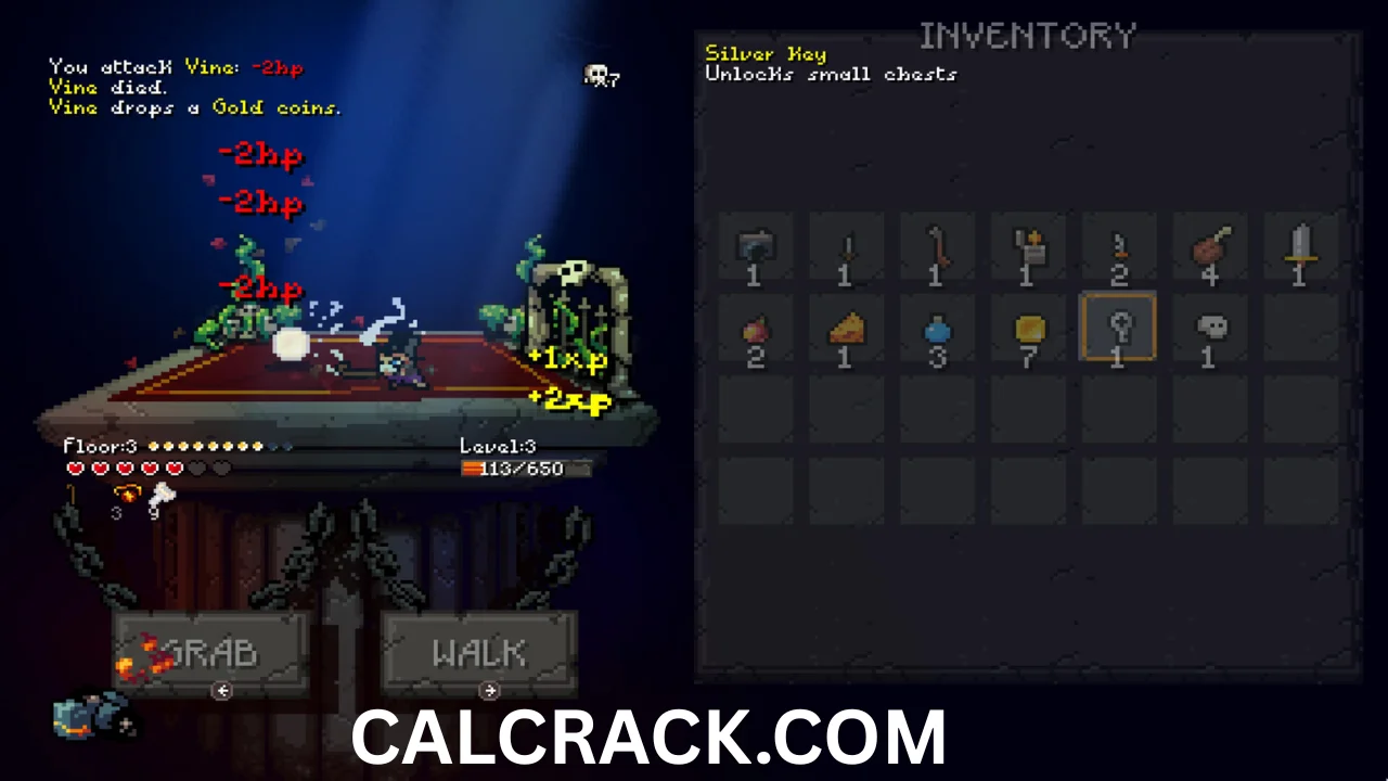 Sir Questionnaire full download