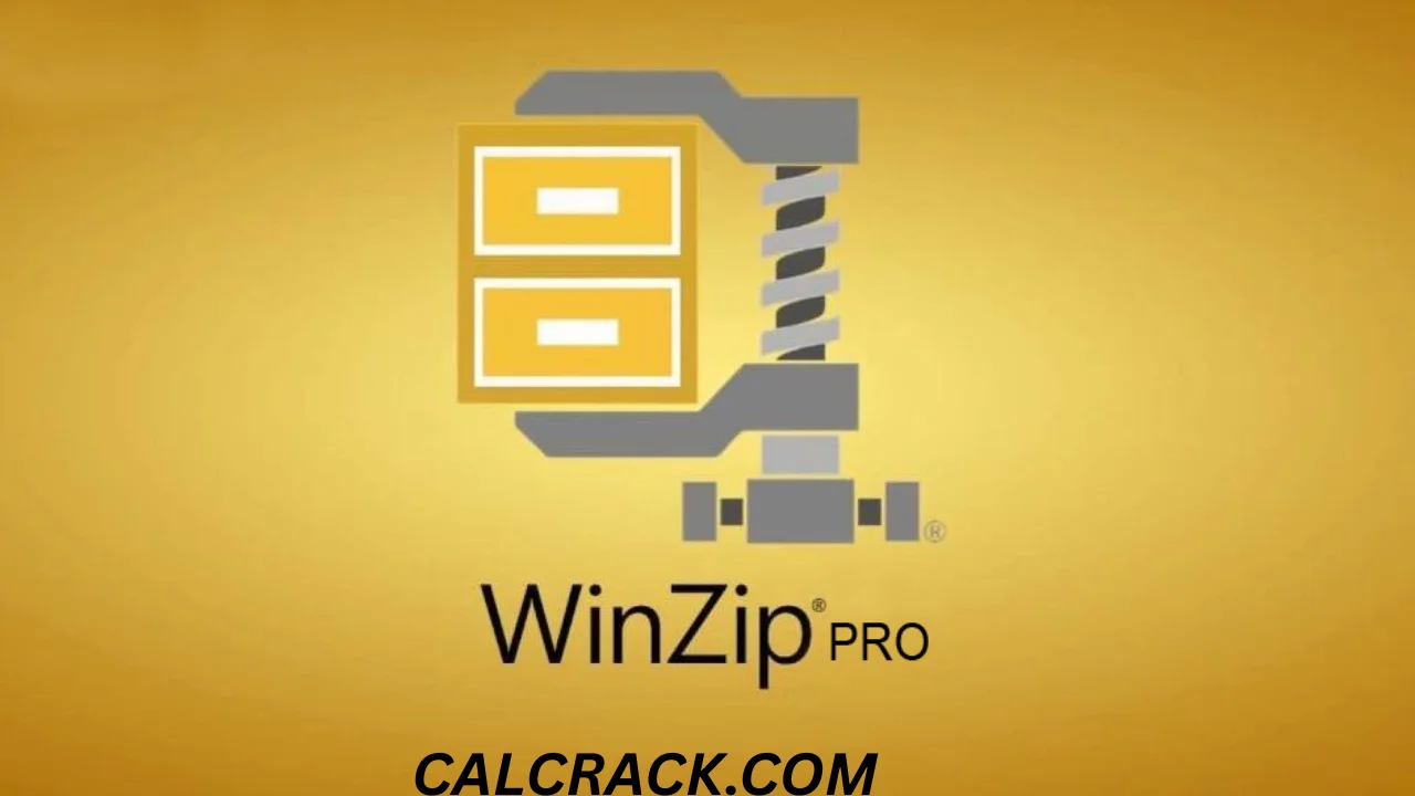 WinZip Pro FREE DOWNLOAD